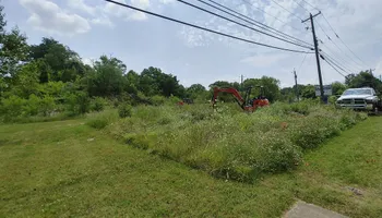 Tree Removal for M&L Lumber and Excavating in Jonesborough, TN