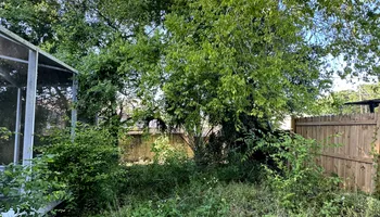 Tree Removal for Elevation Tree Service in Holiday, FL