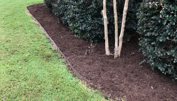 Mowing for Grandview Lawn Care in Norwood, NC