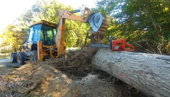 Tree Removal for Hired Gunz Services LLC in La Plata, MD