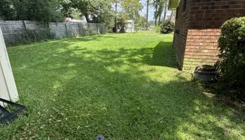 Tree Removal for Hawkins Tree Service & Land Management in Richmond Hill, GA