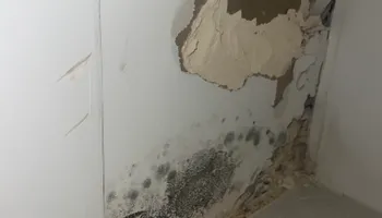 Water Mitigation for N&D Restoration Services When Disaster Attacks, We Come In in Cape Coral,  FL