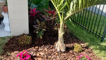 Excavation for Shoreside Property Services in Apollo Beach, FL