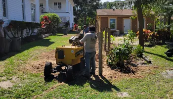 Tree Trimming & Removal for L & J Palm Tree & Lawn Care Services in Jupiter, FL