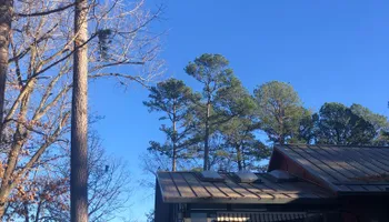 Tree Removal for Dale's Tree Service in Springdale, AR