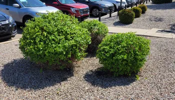 Residential Lawn Maintenance for 2 Brothers Landscaping in Albuquerque, NM
