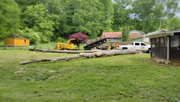 Tree Removal for Rush Tree Specialist in Knoxville, TN