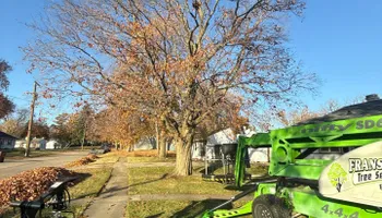 Tree Removal for Fransen's Tree Service  in Freeport, IL