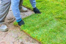 Hydroseeding for Holland Hydroseeding LLC in Columbia, MS