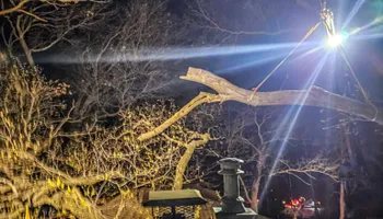 Tree Removal for Down To Earth Tree Service in Red Wing,  Minnesota