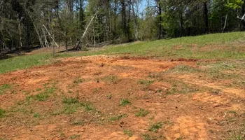 Tree Removal for Brooks Tree Service in Casar, NC