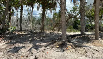 Land Clearing for McLeran in Naples, FL