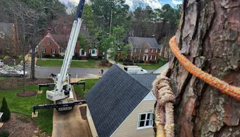 Tree Removal for Smith Tree Experts in Palmyra, VA