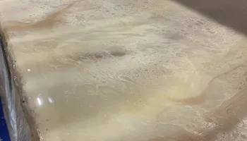 Residential Painting for Mr. Mole's Painting in Bemidji, MN