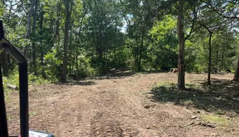 Tree Removal for Baker Professional Services LLC in Shelbina, MO