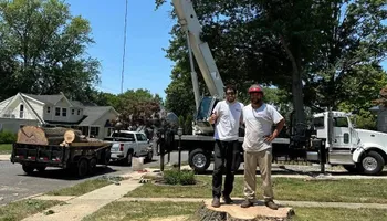Tree Removal for Melnyk’s Tree Service in Salem County, NJ