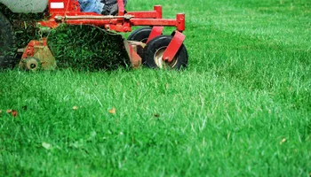 Fall and Spring Clean Up for RR Tree Service & Lawn Care LLC in Baraboo,  WI