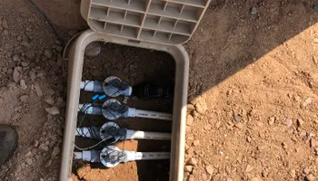 Shrub Trimming for Revolution Landscape Construction in Mesa, AZ