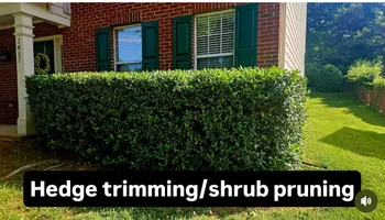 Lawn Maintenance for Surprising Odyssey in Gibsonville, NC