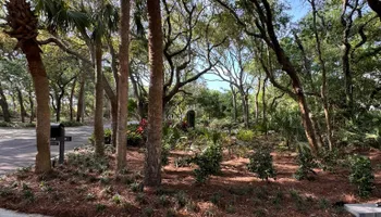 Landscape Lighting for Pro Designs Landscaping in Jacksonville, FL