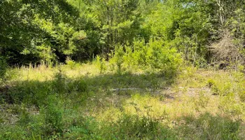 Mowing for Top Notch Tractor Work LLC in Milledgeville, GA