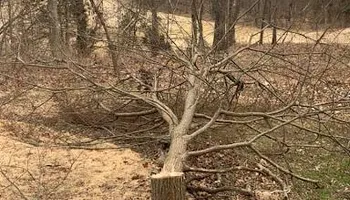 Hardscaping for JM Lawn and Landscape in Bella Vista, AR