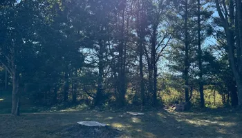 Tree Removal for Fransen's Tree Service  in Freeport, IL