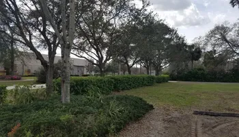 Tree Removal for Daniel Hickey’s Tree Service in DeLand, FL