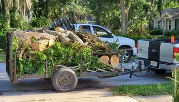 Tree Trimming for Highlife Tree Care And Landscaping in Altamonte Springs, FL