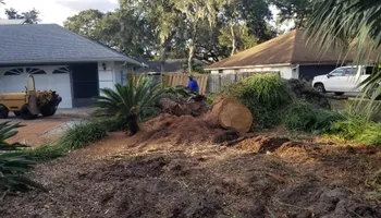 Tree Removal for Spruce Creek Tree Service in Port Orange, FL