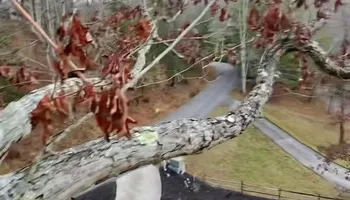 Tree Removal for Complete Care in Cumberland Gap, TN