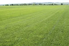 Lawn Maintenance for Vaske Lawn Care in Burlington, KY