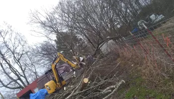 Tree Removal for Puckett's Tree Service in Decatur County, TN