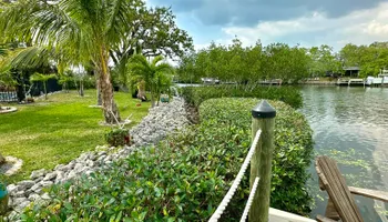 Tree Removal for MX Trees LLC in Englewood, FL