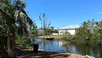 Tree Removal for MX Trees LLC in Englewood, FL