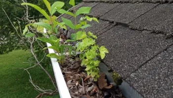 Landscape Design for Olmedo Home Services in Davie County, NC