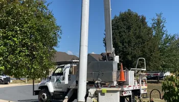 Tree Removal for Gray’s Tree Service in Maurertown, VA