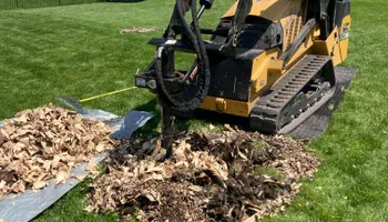 Tree Removal for Village Tree Service in Whitestown, IN