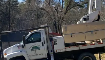 Tree Removal for Gray’s Tree Service in Maurertown, VA
