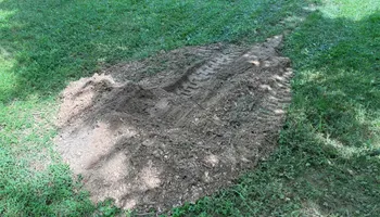 Stump Removal for Conrad's Stump Removal in Columbus, IN