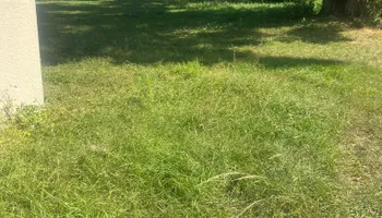 Fall Clean Up for Estrada All Pro Lawn Service in Auburndale, Florida