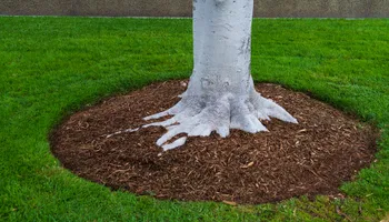 Fall and Spring Clean Up for RR Tree Service & Lawn Care LLC in Baraboo,  WI