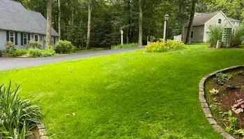 Tree Work for Baboosic Tree & Landscape in Merrimack, NH