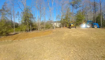 Tree Removal for Hired Gunz Services LLC in La Plata, MD