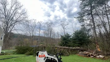 Tree Removal for Licensed to Cut Tree Service in Athens, PA