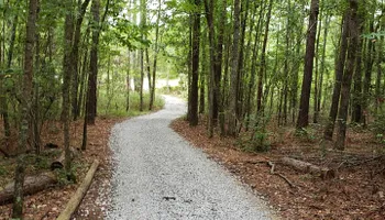 Land Clearing & Demolition for Dukes Clearing and Construction LLC  in Augusta, GA