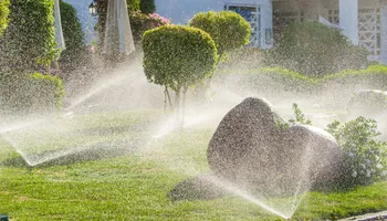 Landscape Design for Florida Roots Inc in Miami, FL