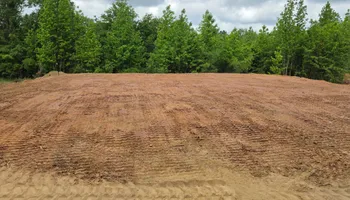 Land Clearing for Page Outdoor Services in Wrightsville, GA