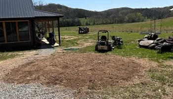Tree Removal for Dale's Tree Service in Springdale, AR