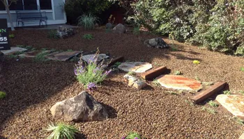 Landscape Design for New Vision Landscape in Folsom, CA